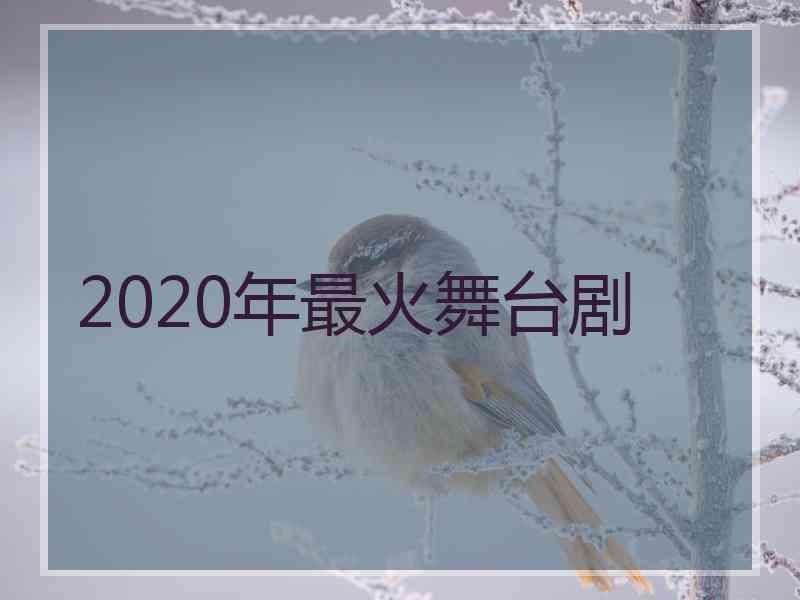 2020年最火舞台剧