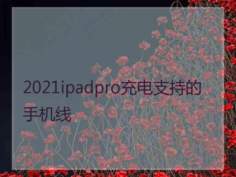 2021ipadpro充电支持的手机线