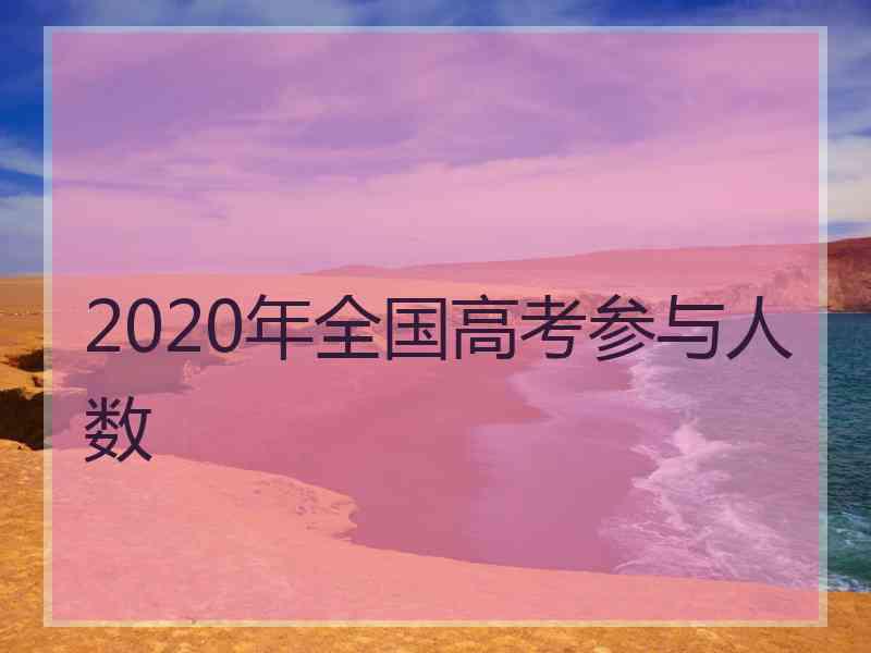 2020年全国高考参与人数