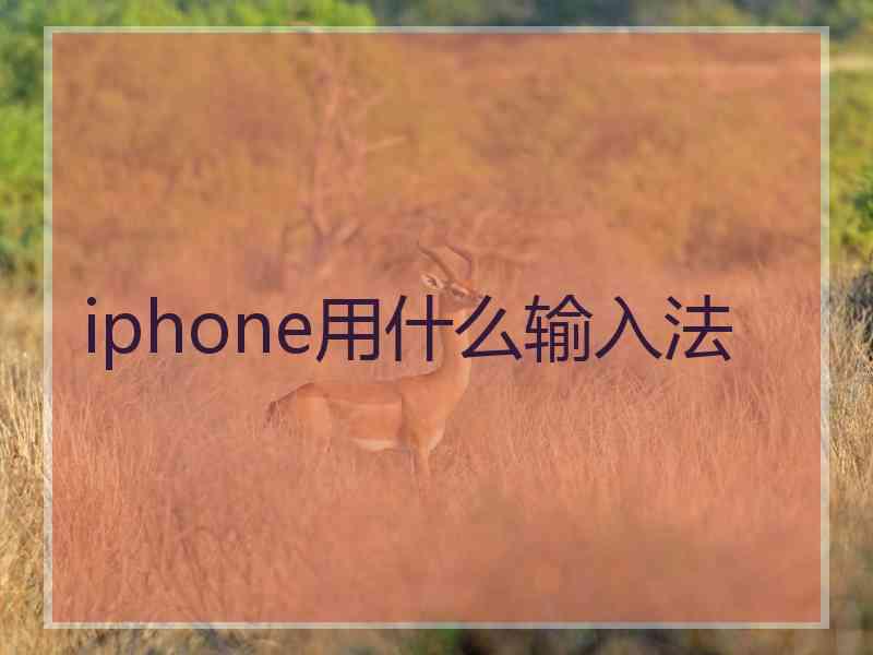 iphone用什么输入法