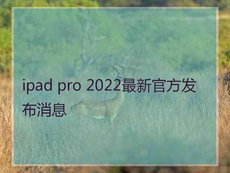 ipad pro 2022最新官方发布消息