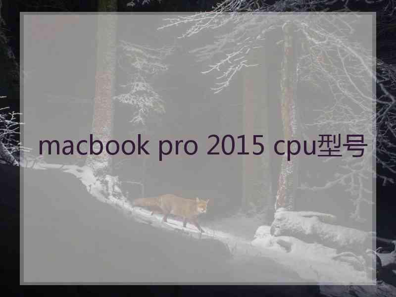 macbook pro 2015 cpu型号