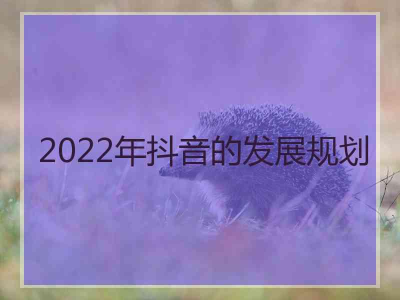 2022年抖音的发展规划