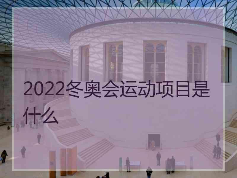 2022冬奥会运动项目是什么