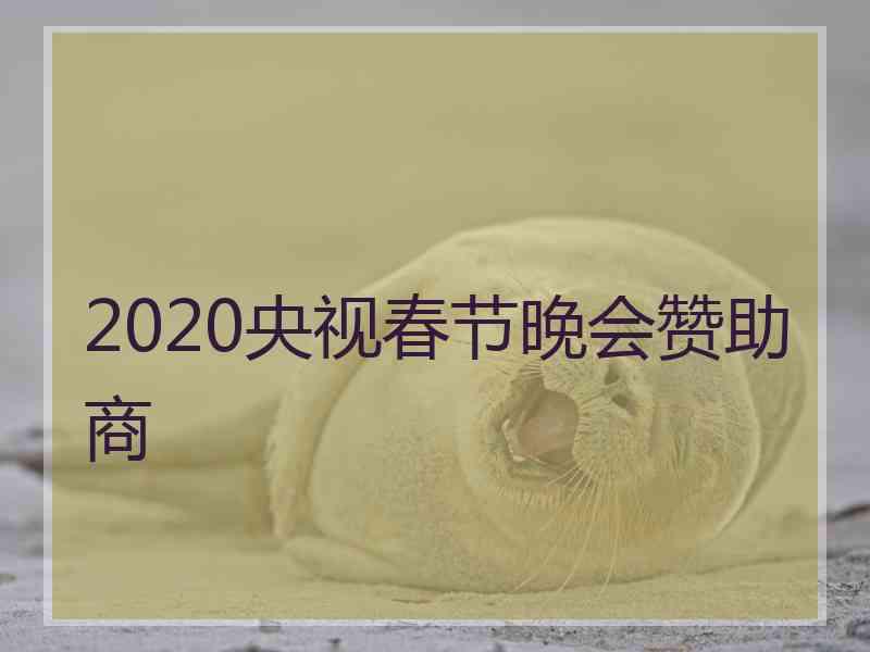 2020央视春节晚会赞助商