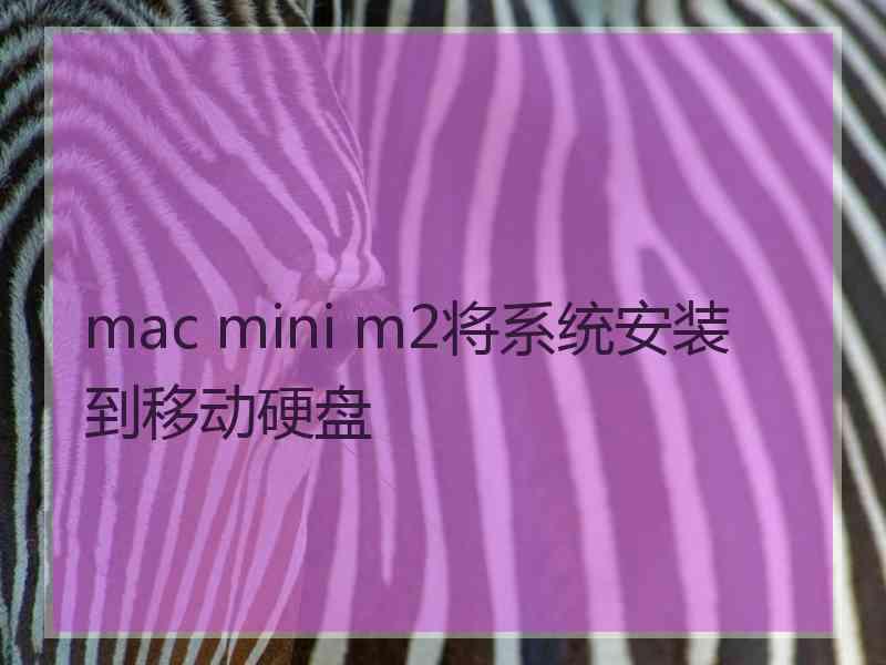 mac mini m2将系统安装到移动硬盘