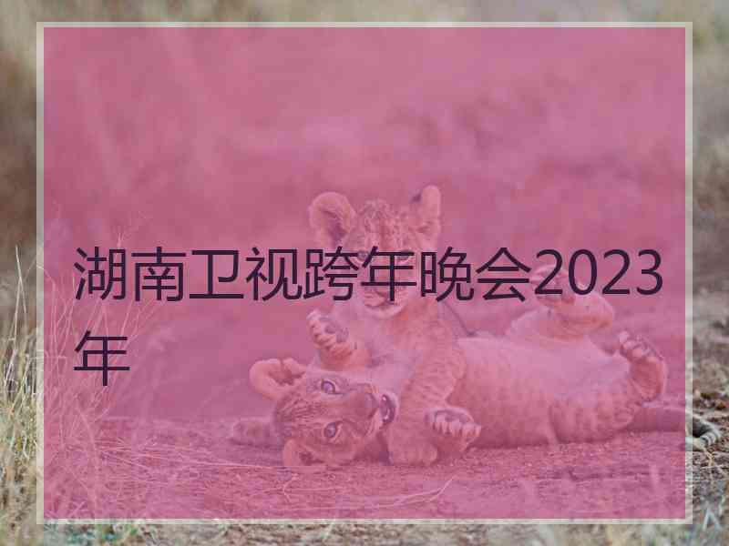 湖南卫视跨年晚会2023年