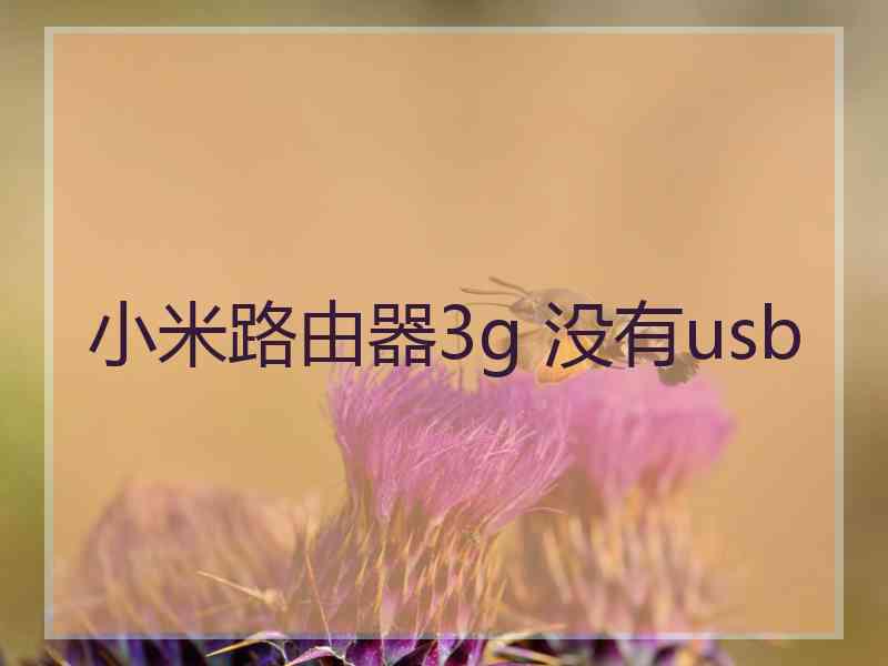 小米路由器3g 没有usb