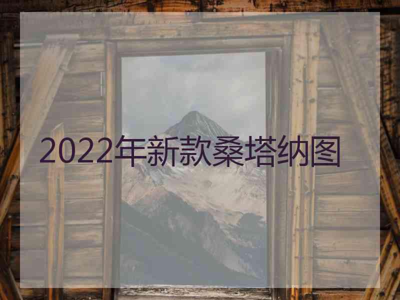 2022年新款桑塔纳图