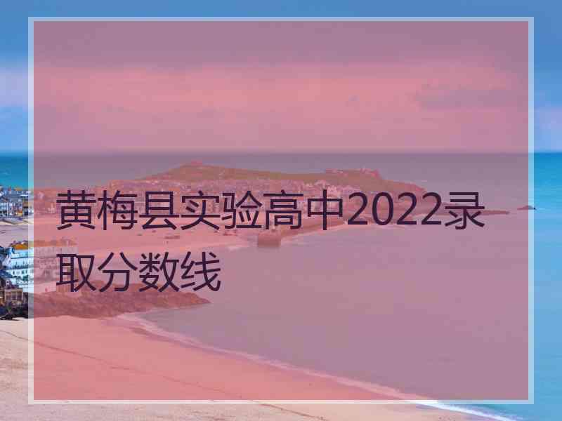 黄梅县实验高中2022录取分数线