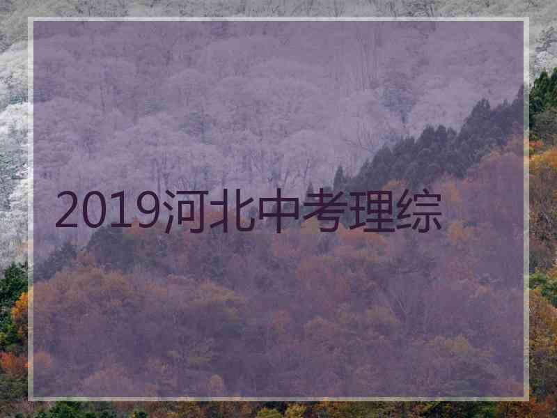 2019河北中考理综