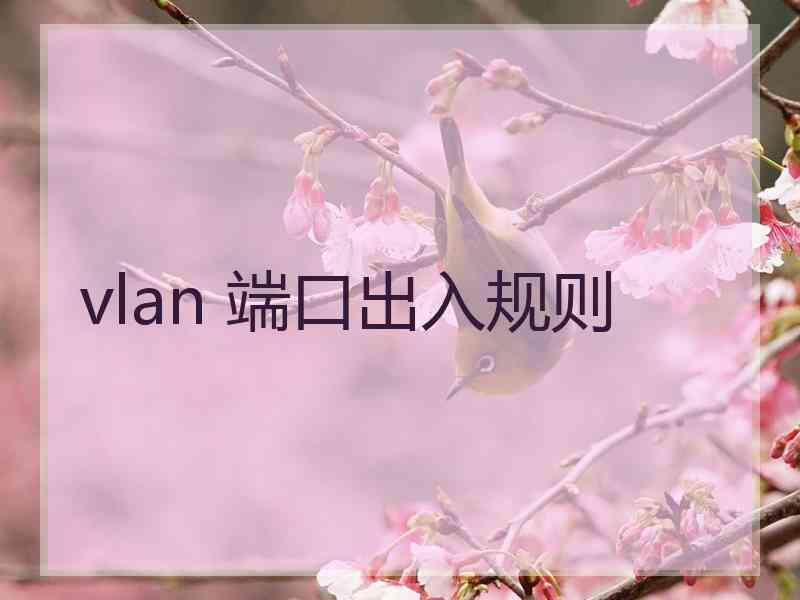 vlan 端口出入规则