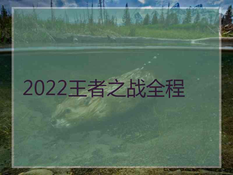 2022王者之战全程