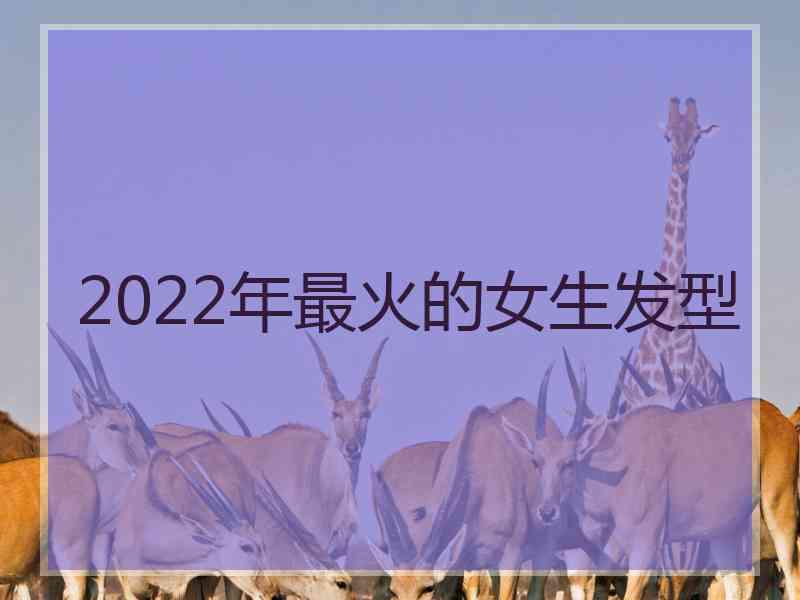 2022年最火的女生发型