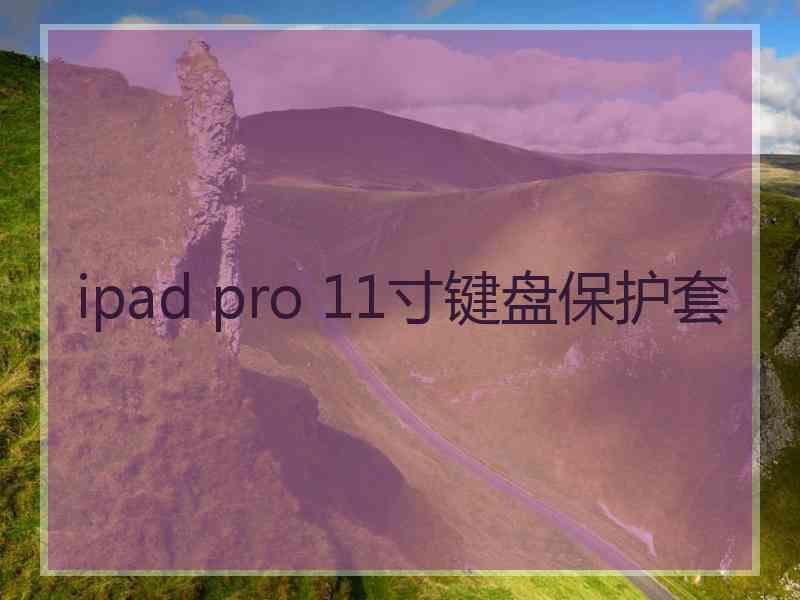 ipad pro 11寸键盘保护套