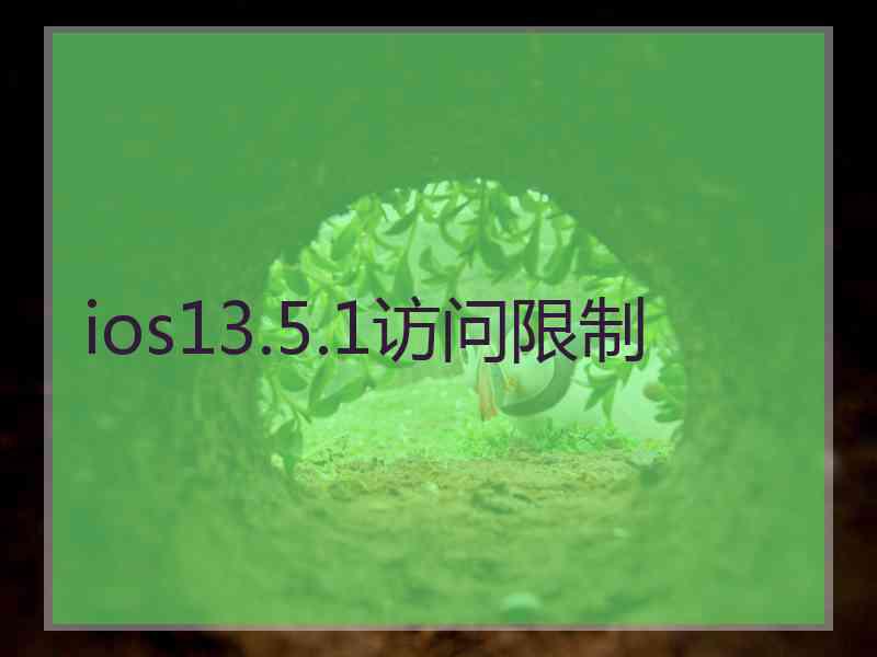 ios13.5.1访问限制