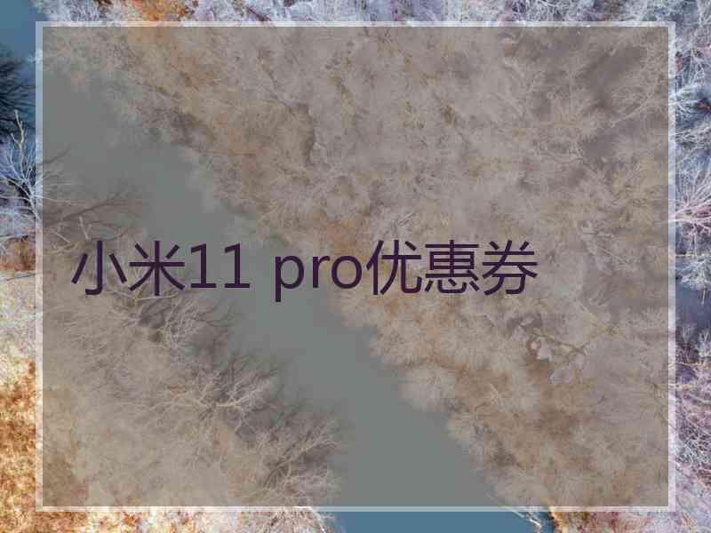 小米11 pro优惠券