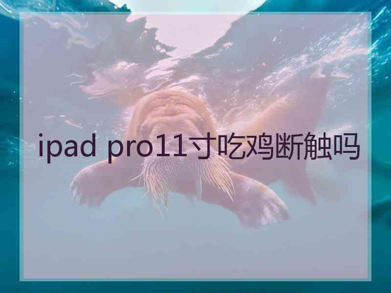 ipad pro11寸吃鸡断触吗