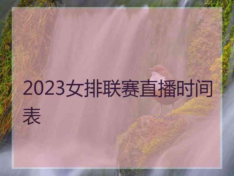 2023女排联赛直播时间表