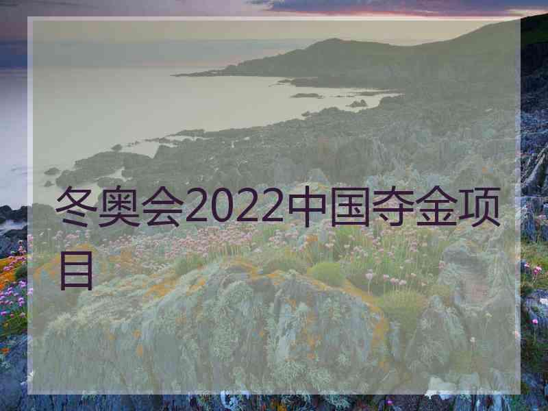 冬奥会2022中国夺金项目