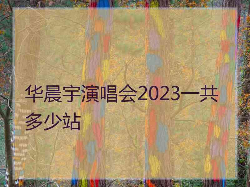 华晨宇演唱会2023一共多少站