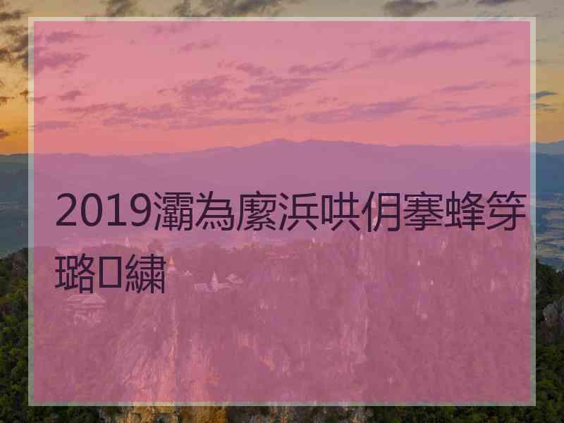 2019灞為緳浜哄仴搴蜂笌璐㈣繍