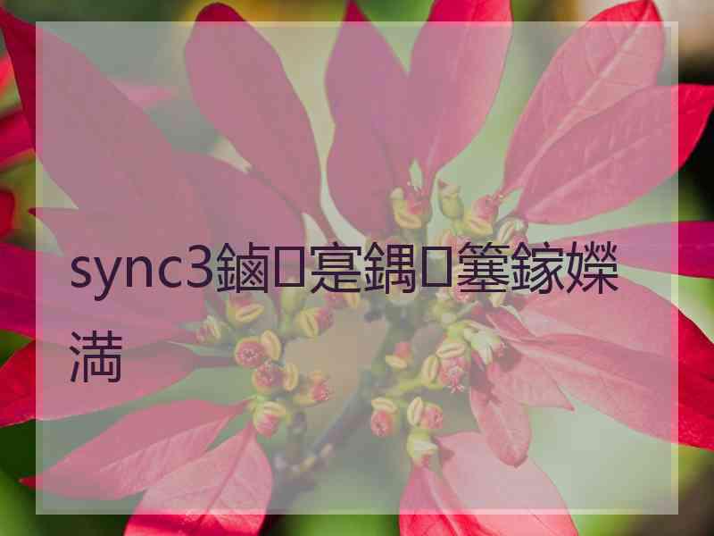 sync3鏀寔鍝簺鎵嬫満