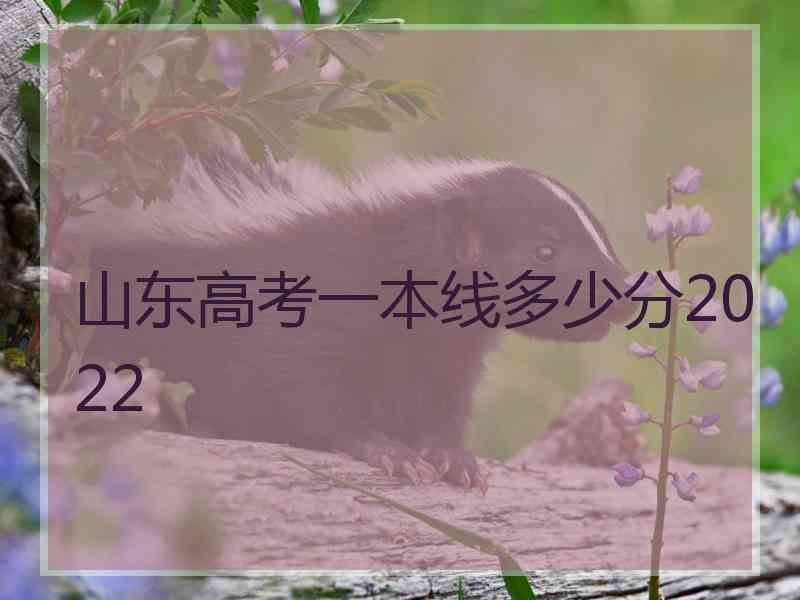 山东高考一本线多少分2022