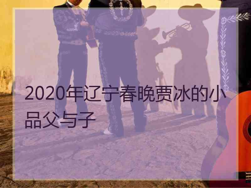 2020年辽宁春晚贾冰的小品父与子