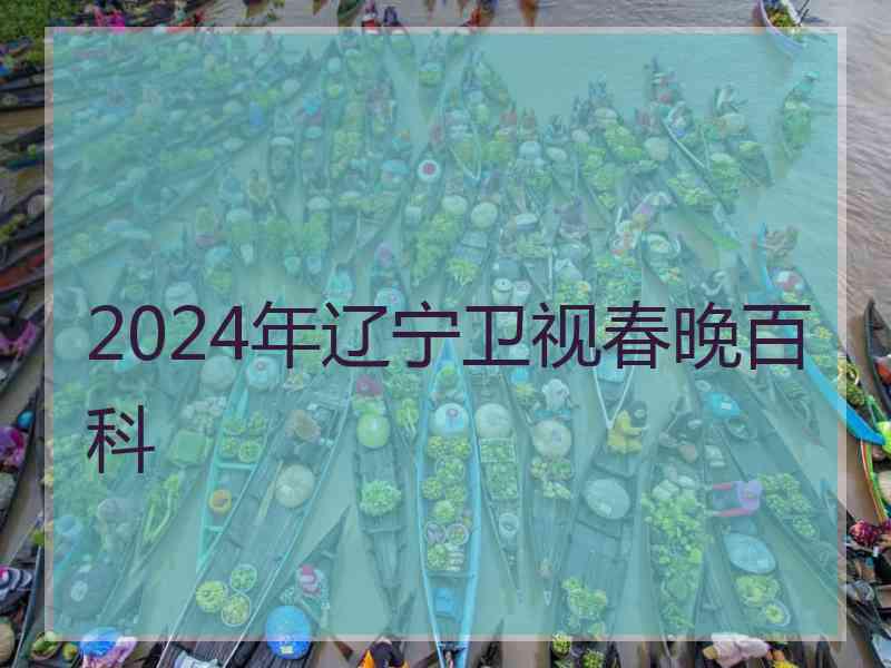 2024年辽宁卫视春晚百科