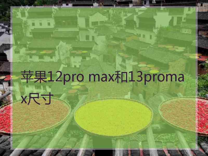 苹果12pro max和13promax尺寸