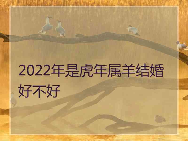 2022年是虎年属羊结婚好不好