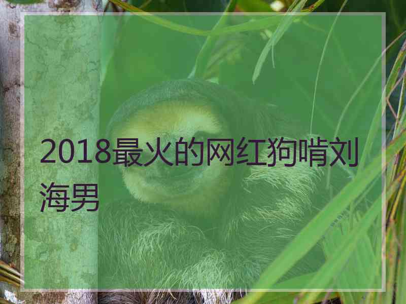 2018最火的网红狗啃刘海男