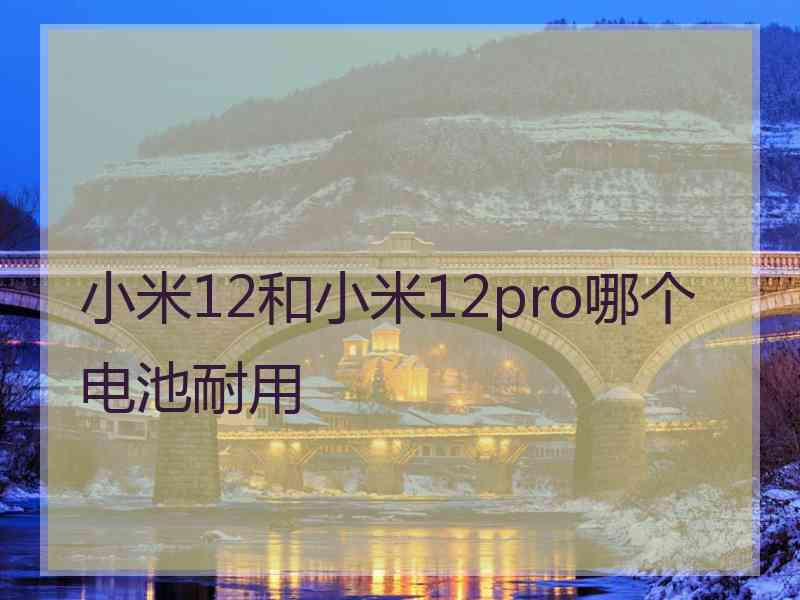 小米12和小米12pro哪个电池耐用