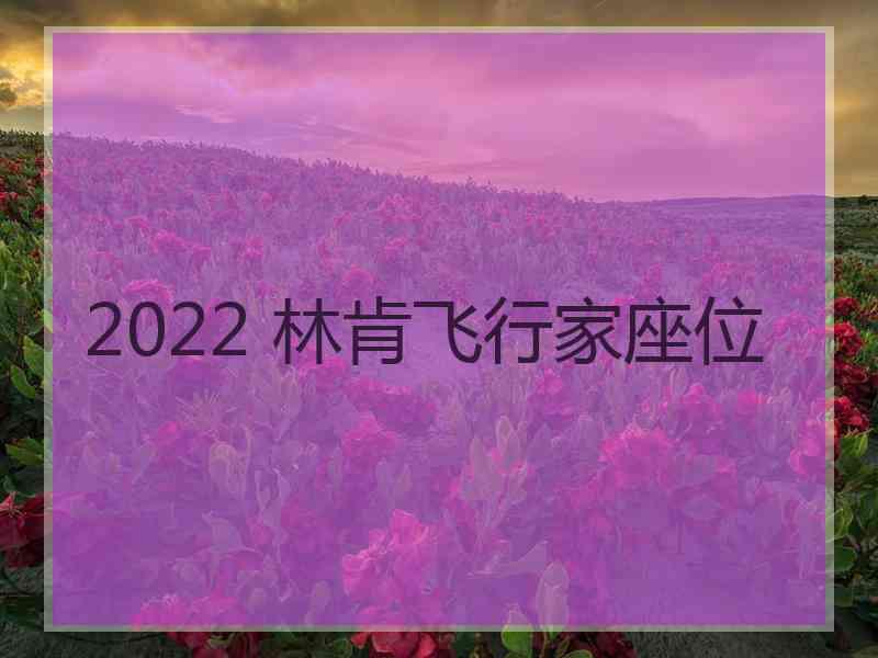 2022 林肯飞行家座位