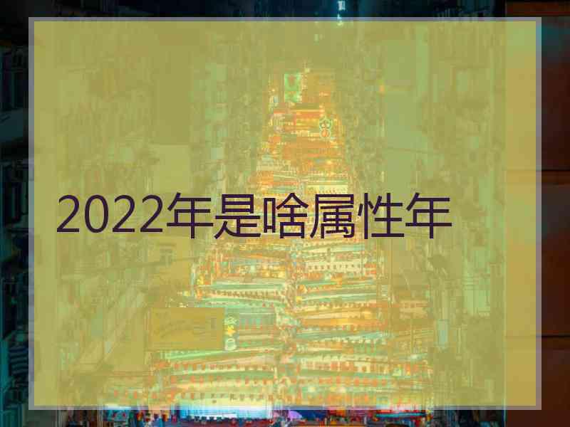 2022年是啥属性年