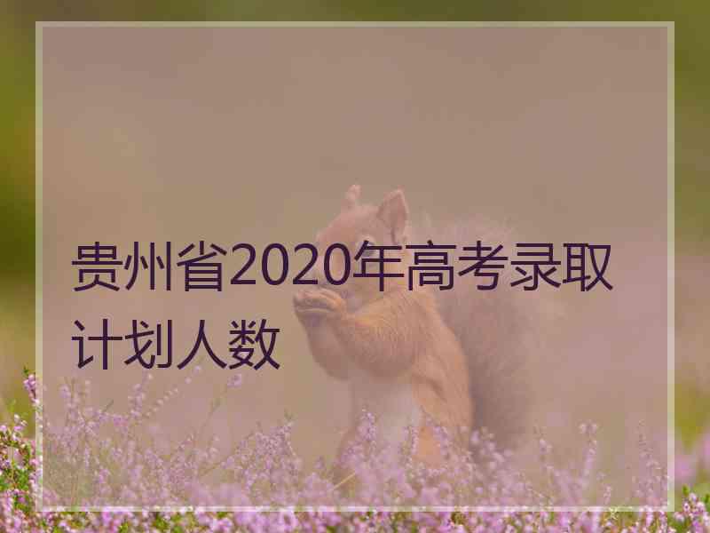 贵州省2020年高考录取计划人数