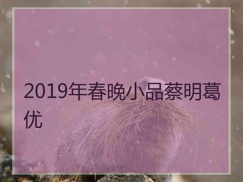 2019年春晚小品蔡明葛优