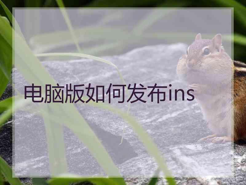 电脑版如何发布ins