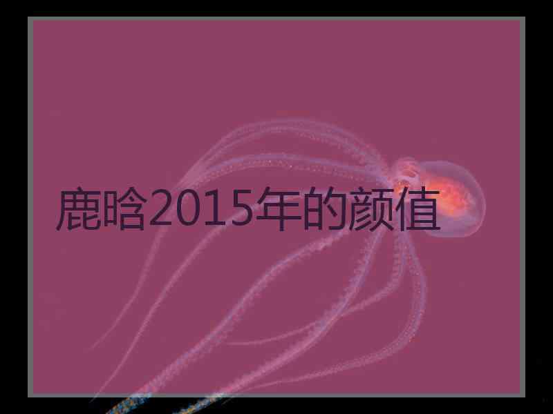 鹿晗2015年的颜值