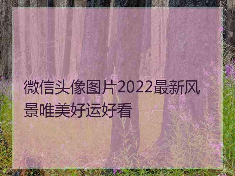 微信头像图片2022最新风景唯美好运好看