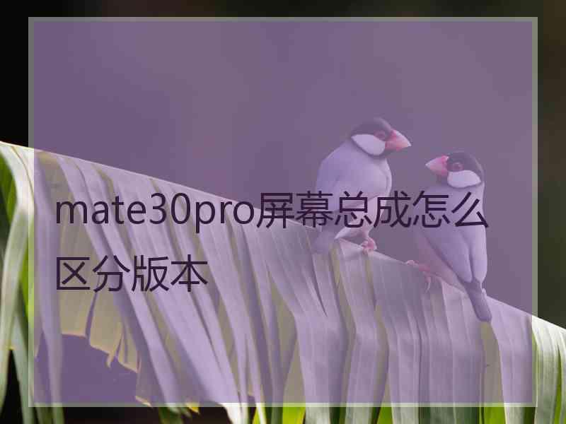 mate30pro屏幕总成怎么区分版本