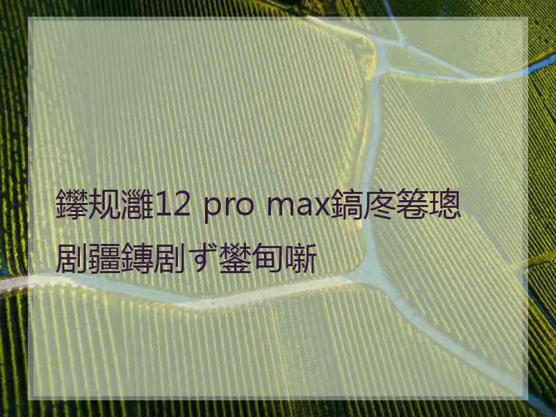 鑻规灉12 pro max鎬庝箞璁剧疆鏄剧ず鐢甸噺