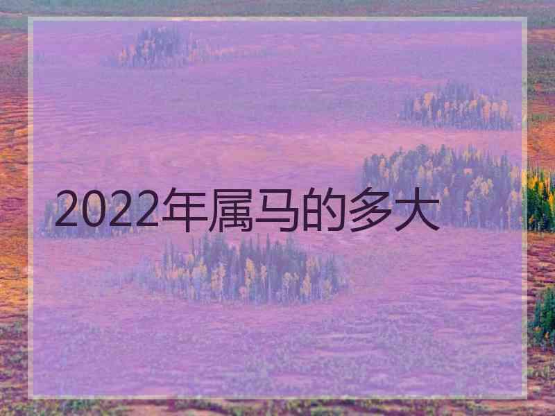 2022年属马的多大