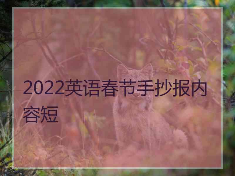 2022英语春节手抄报内容短