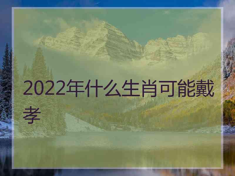 2022年什么生肖可能戴孝