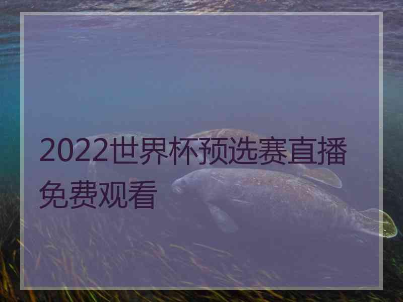 2022世界杯预选赛直播免费观看