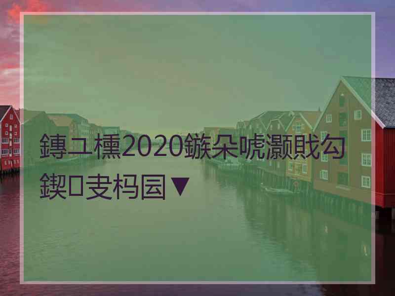 鏄ユ櫄2020鏃朵唬灏戝勾鍥㈠叏杩囩▼