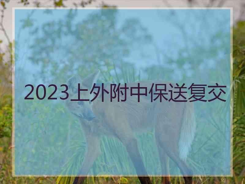 2023上外附中保送复交