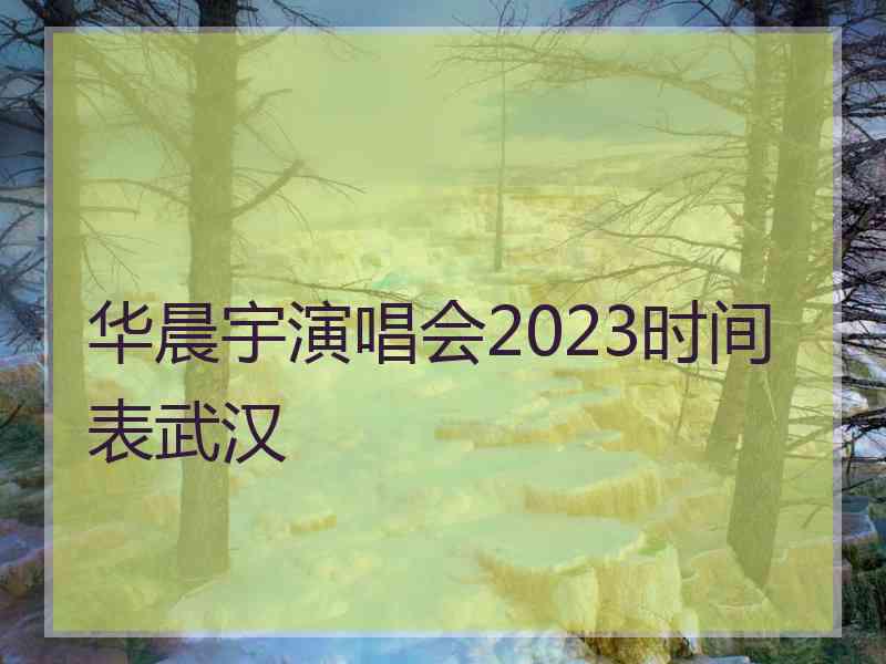 华晨宇演唱会2023时间表武汉